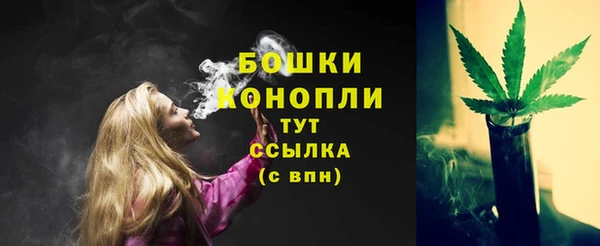 гидропоника Магас