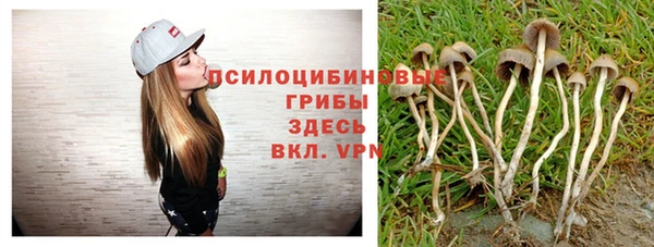 ALPHA-PVP Майский