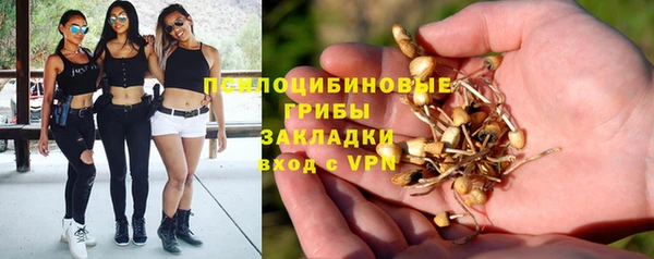 гидропоника Магас
