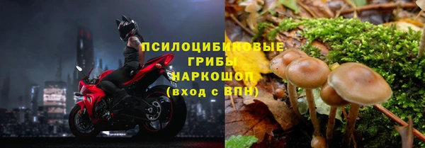 2c-b Магадан