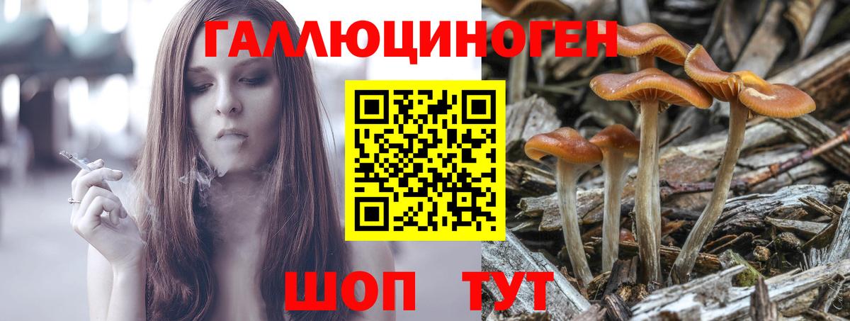 Галлюциногенные грибы Psilocybine cubensis Рузаевка